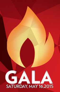 aids-foundation-chicago-gala-2015